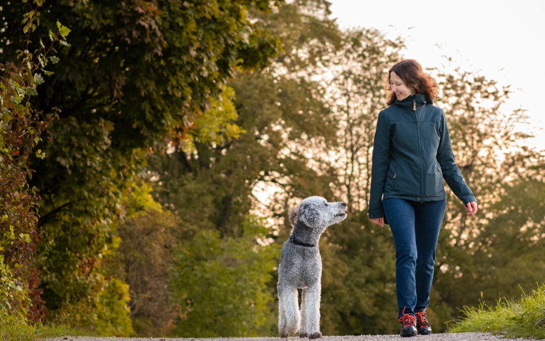 Remy und Sabrina, ein eingespieltes Team