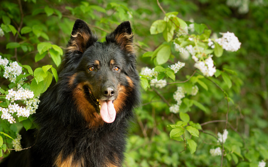 Eine Fotolocation – viele Möglichkeiten