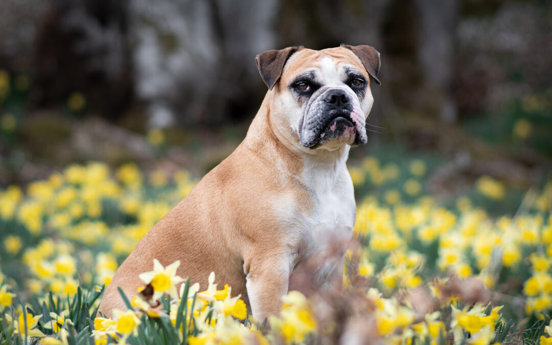 Coco, Ema und die unbekannte Shootinglocation – eine echte Herausforderung?