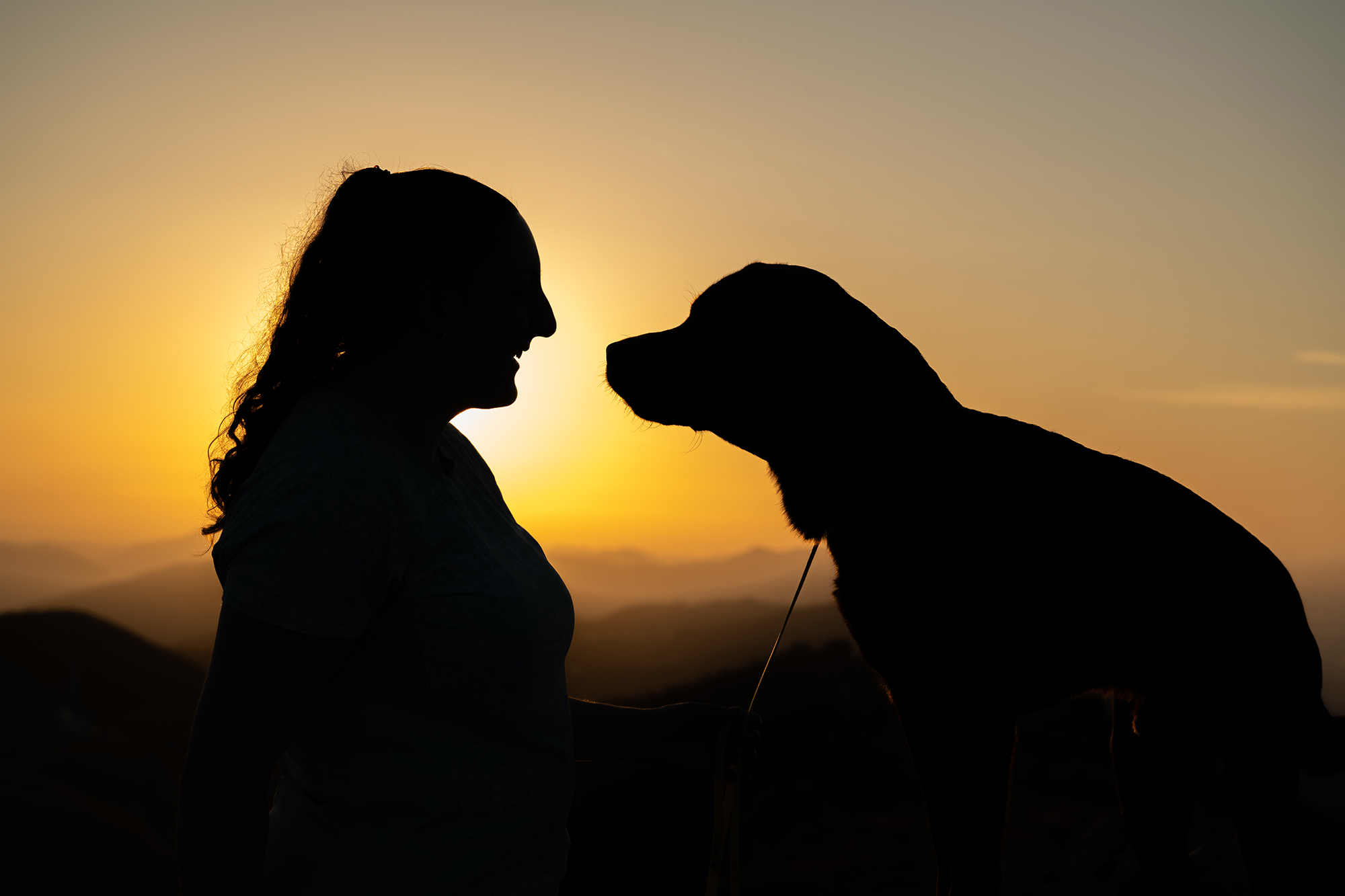Frau und Hund im Sonnenaufgang