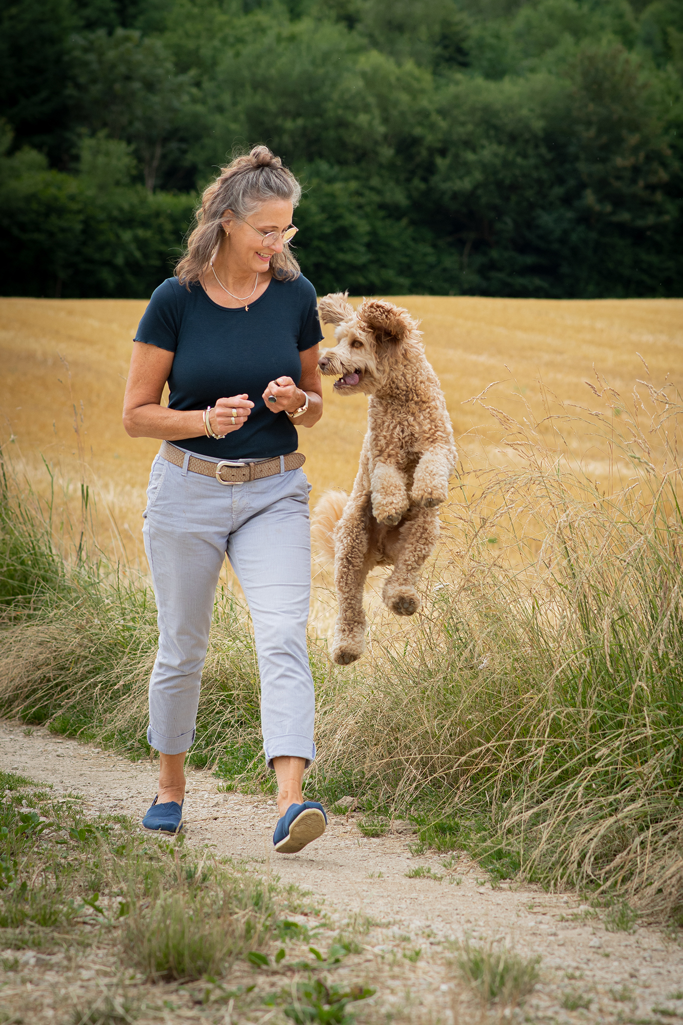 Brauner Hund springt hoch für ein Leckerchen