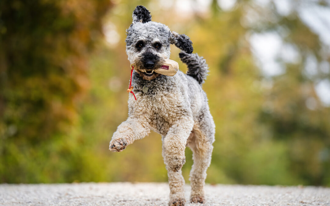 Die Bedeutung von natürlichen Momenten