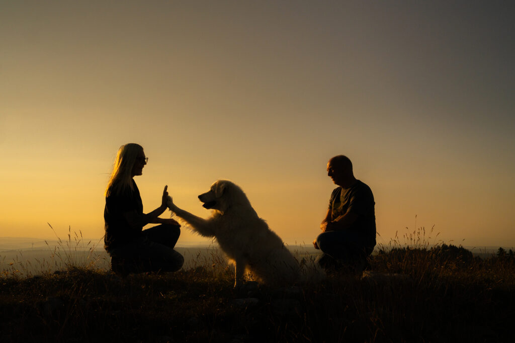 Frau und Hund machen High Five, Mann schaut zu