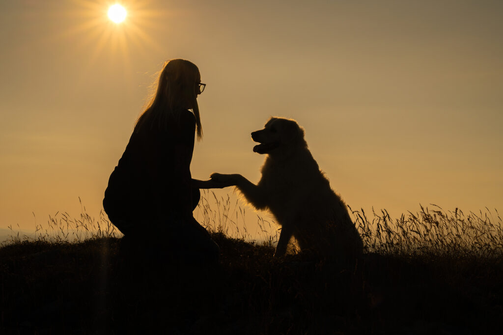 Frau und Hund Pfote geben