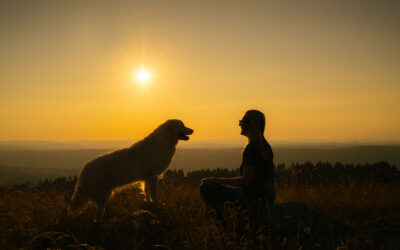 Silhouetten-Zauber auf dem Chasseral