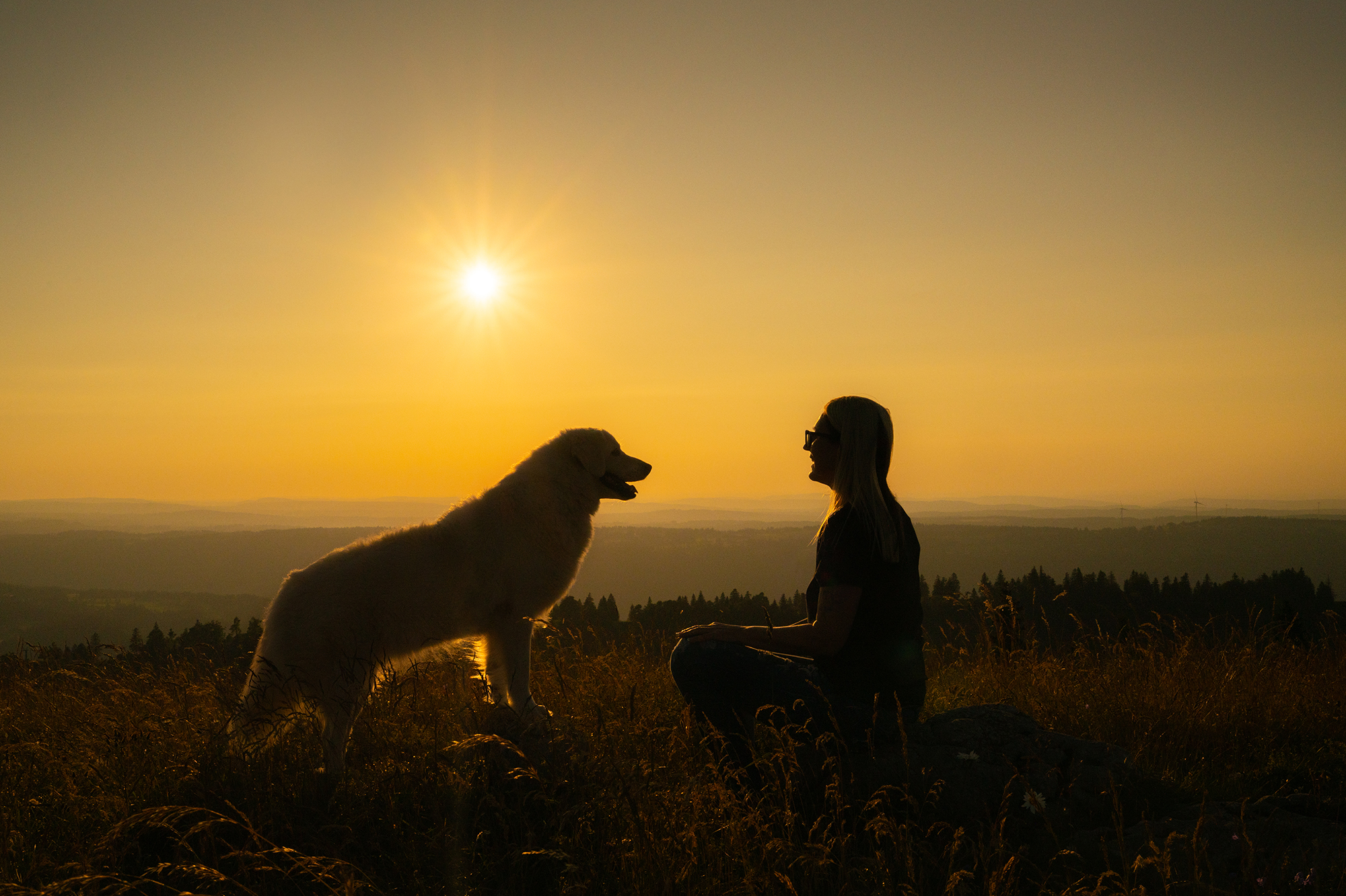 Frau und Hund vor dem Sonnenuntergang