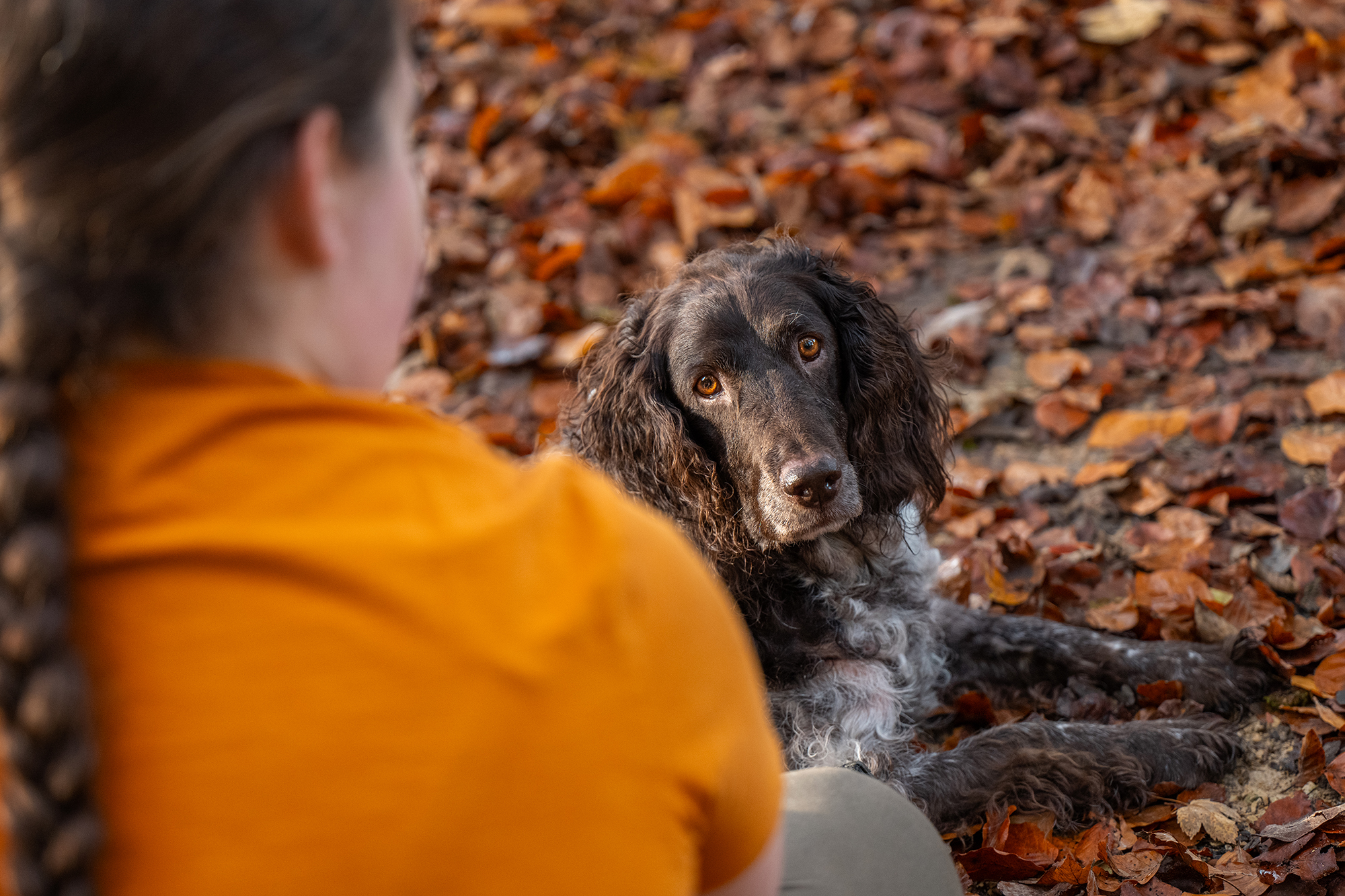 Frau mit Hund im Herbstwald