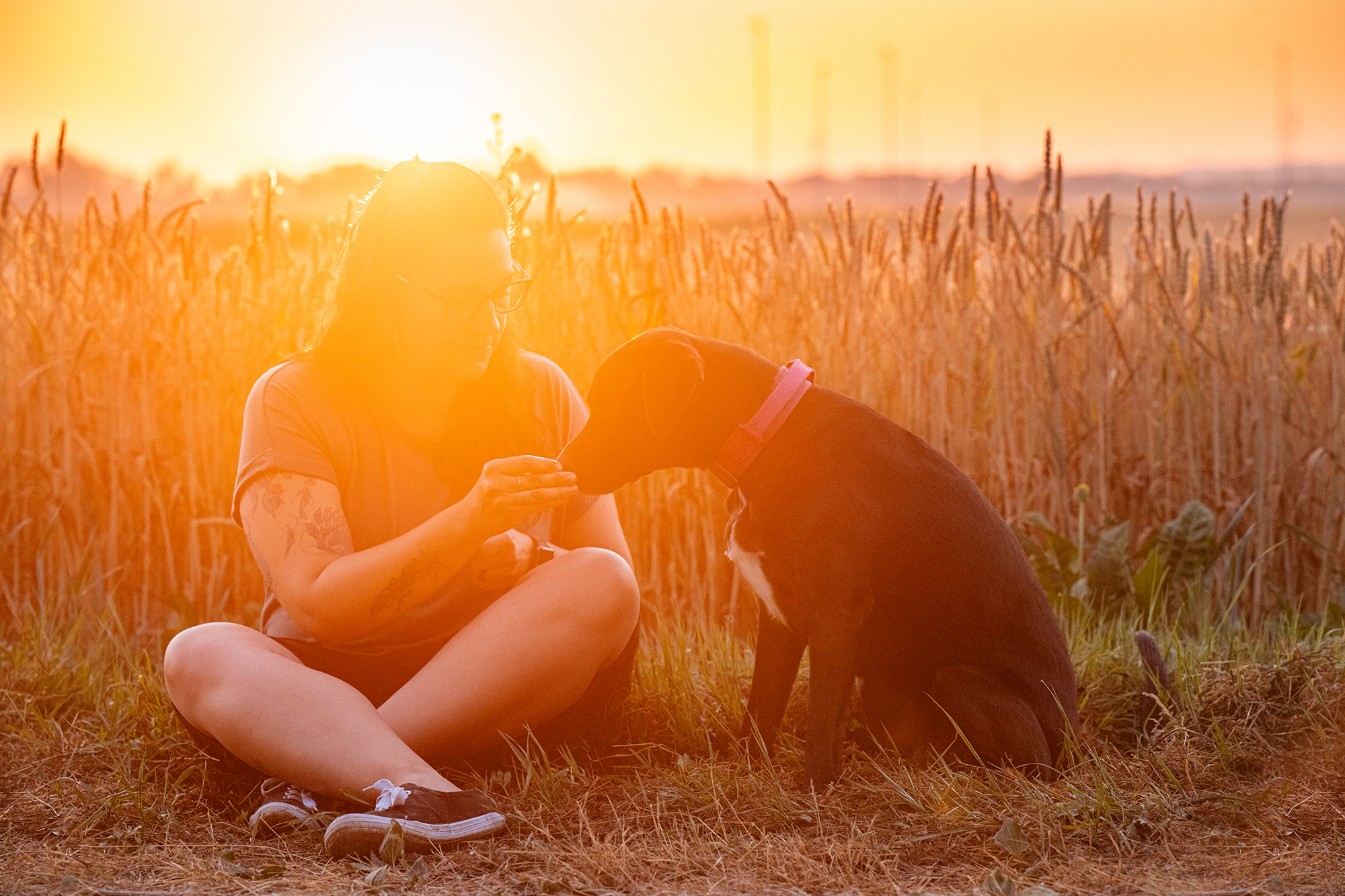 Frau mit Hund im Sonnenaufgang