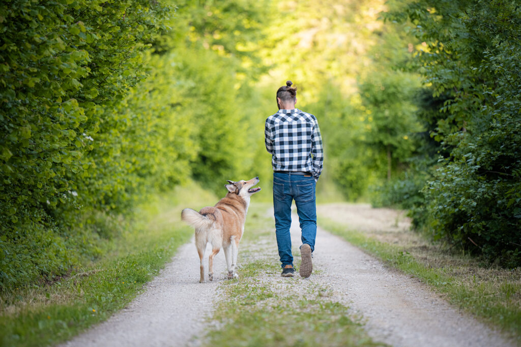 Mann mit Husky-Collie-Mischling