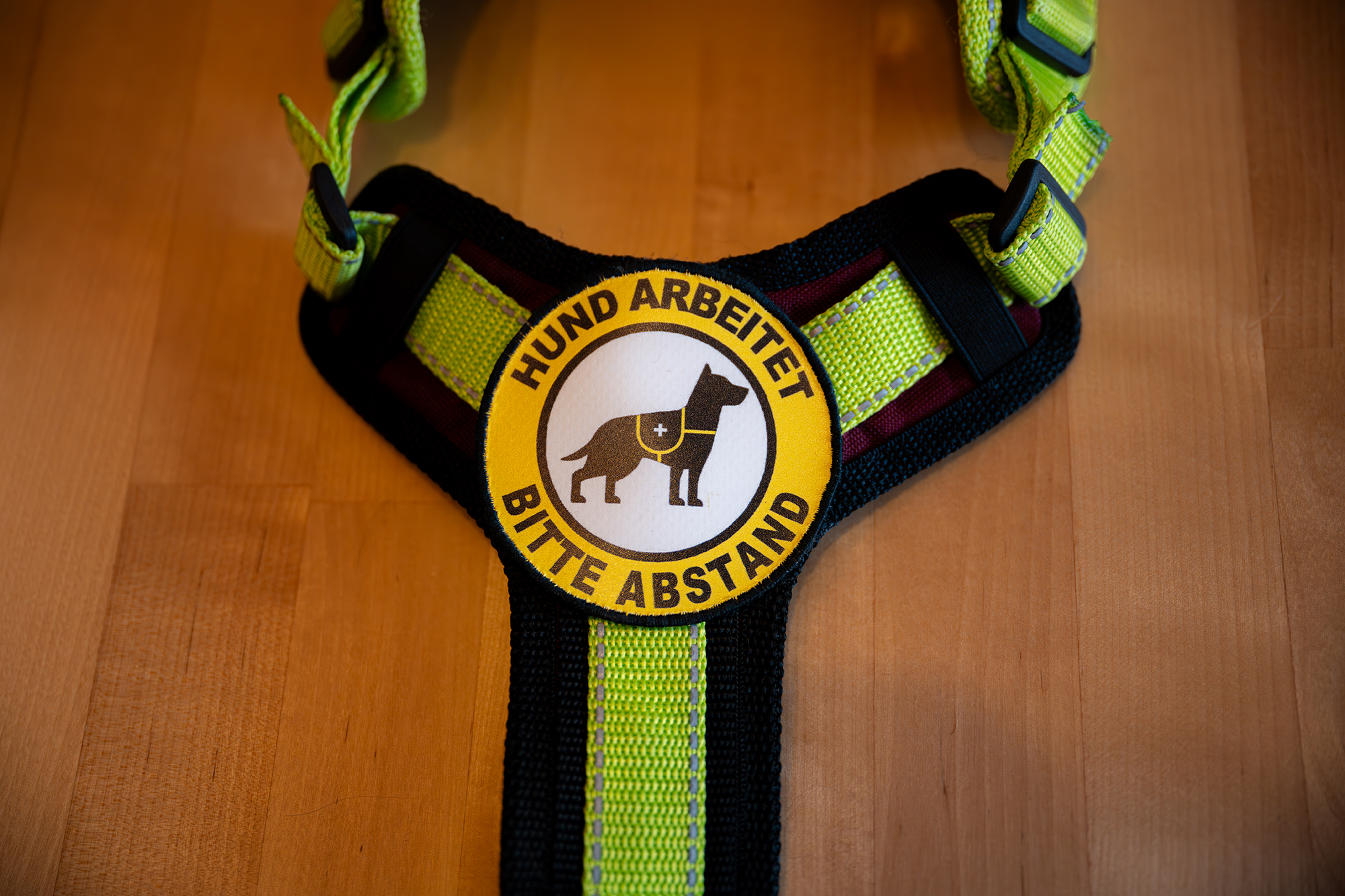 Geschirr Assistenzhund