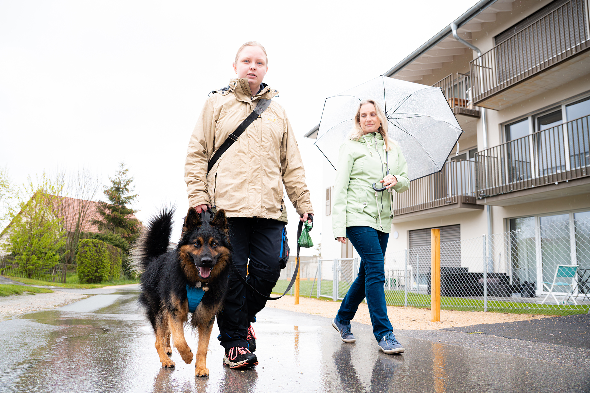 Zwei Personen spazieren mit Assistenzhund