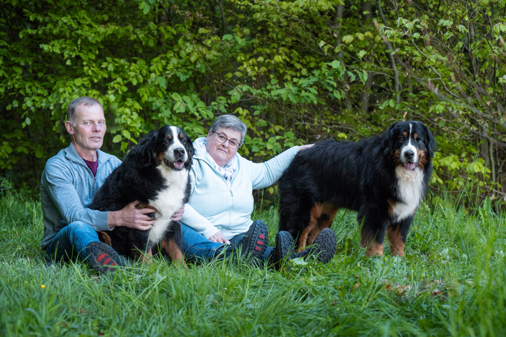 Paar mit zwei Berner Sennenhunden