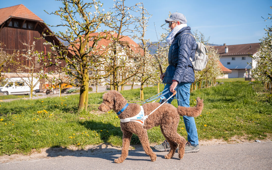 Miro – ein Pudel mit einer verantwortungsvollen Aufgabe und viel Herz
