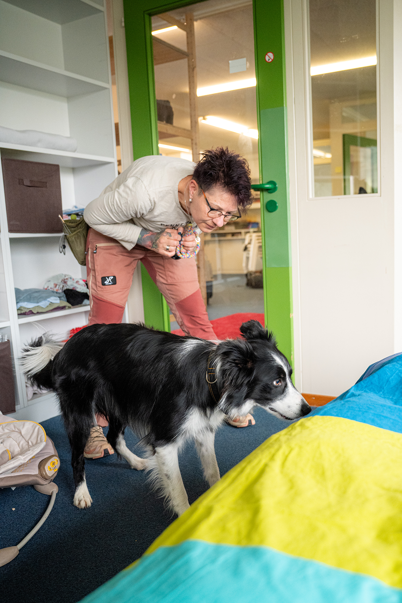 Hund findet Bettwanzen