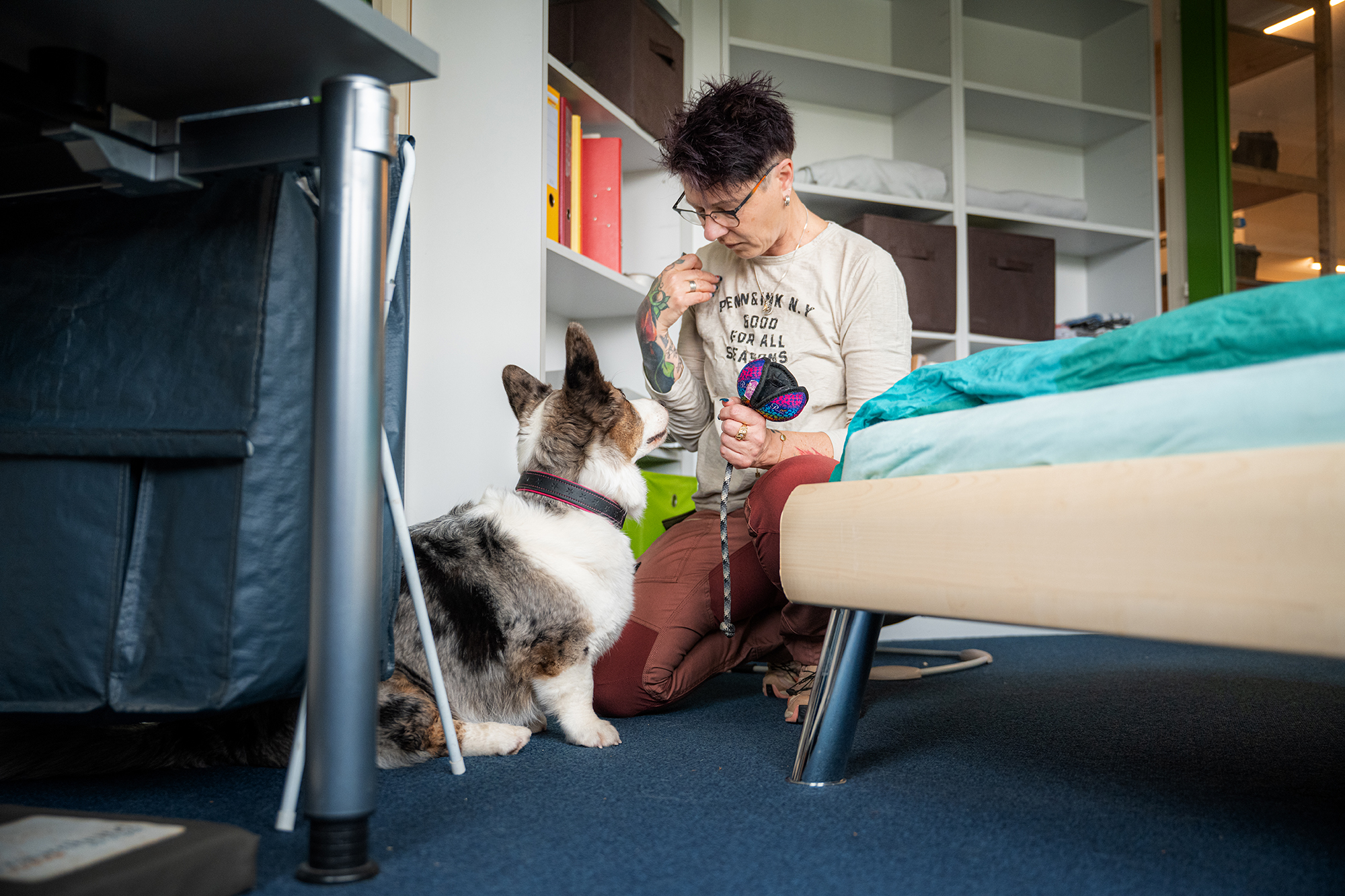 Bettwanzenspürhund bekommt Belohnung