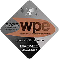 Bronze WPE Awards