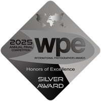 WPE Awards 2025 silver