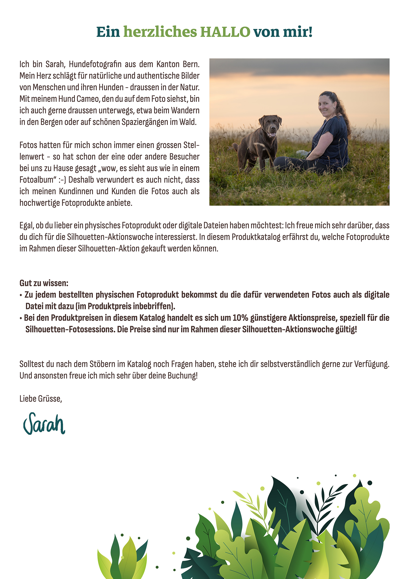Produktkatalog Silhouettenaktion 2026