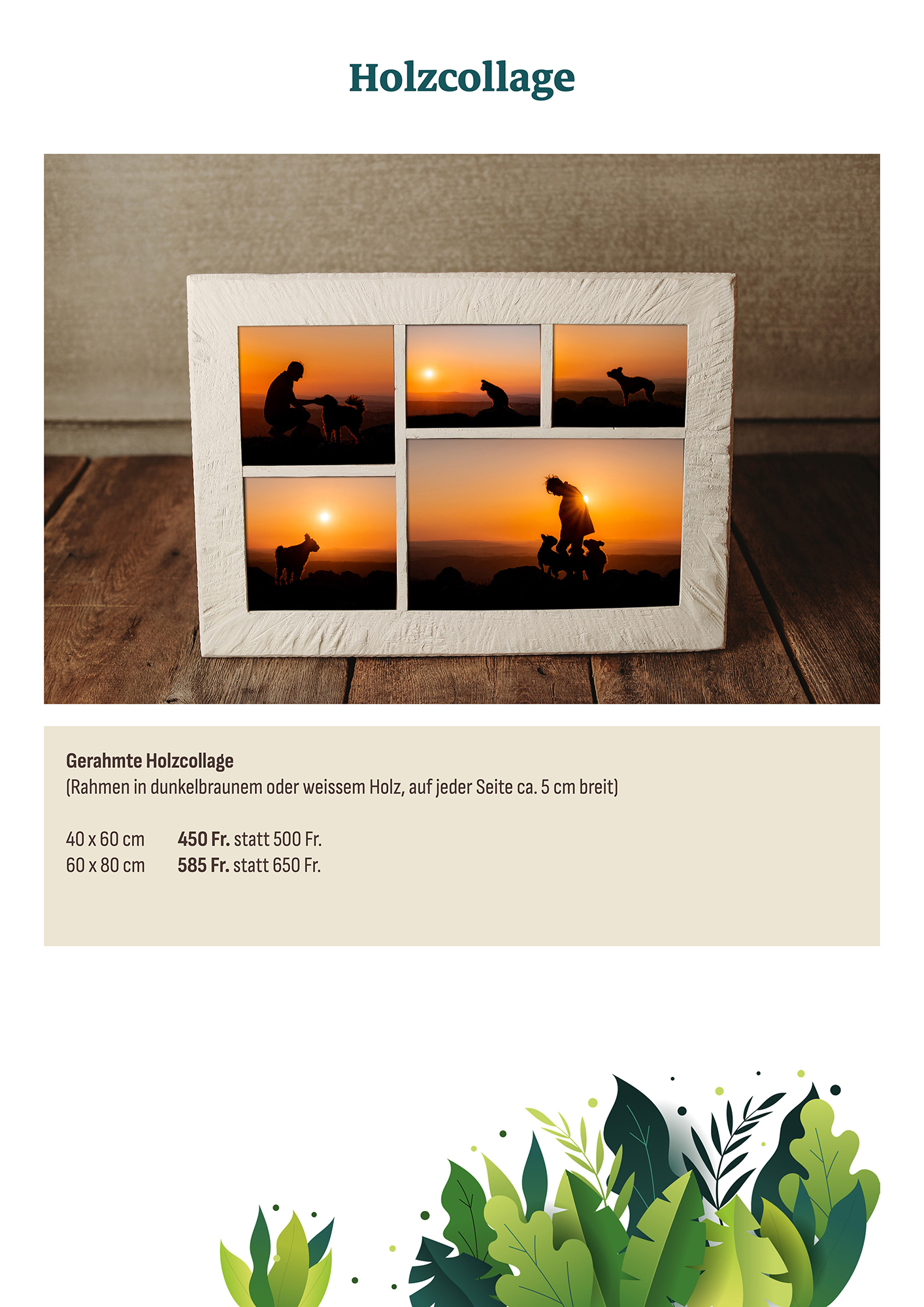 Produktkatalog Silhouettenaktion 2026