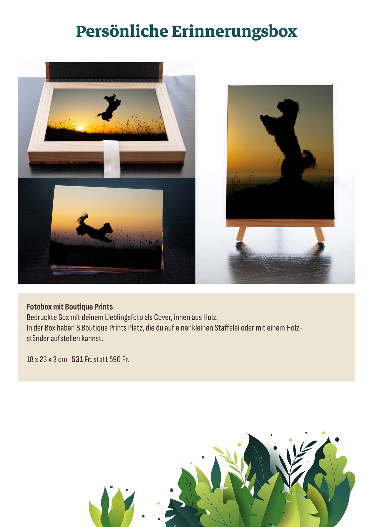 Produktkatalog Silhouettenaktion 2026