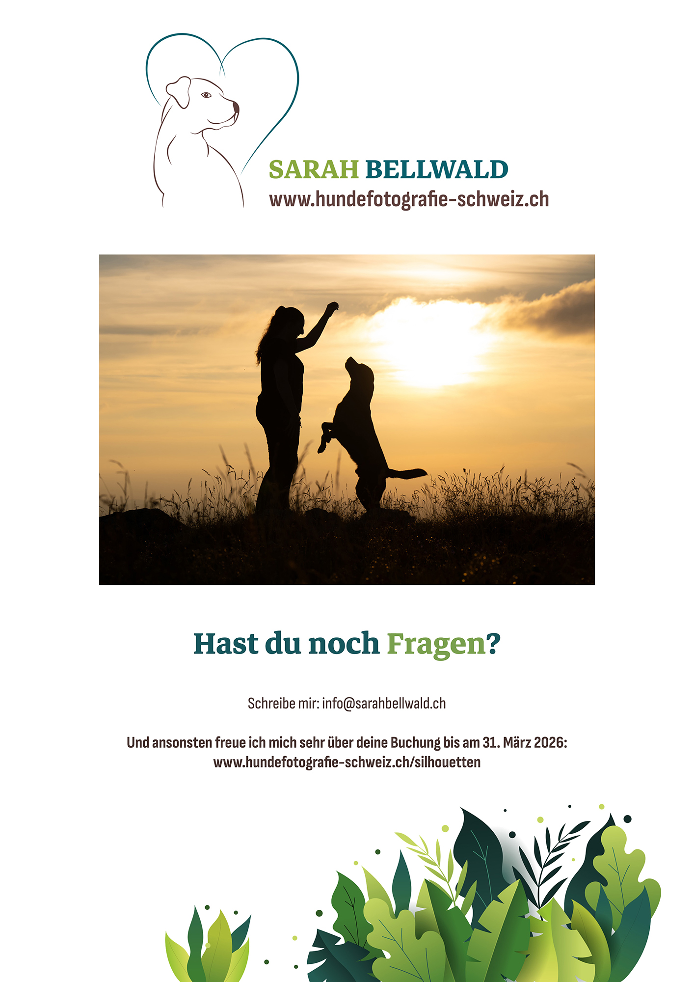 Produktkatalog Silhouettenaktion 2026