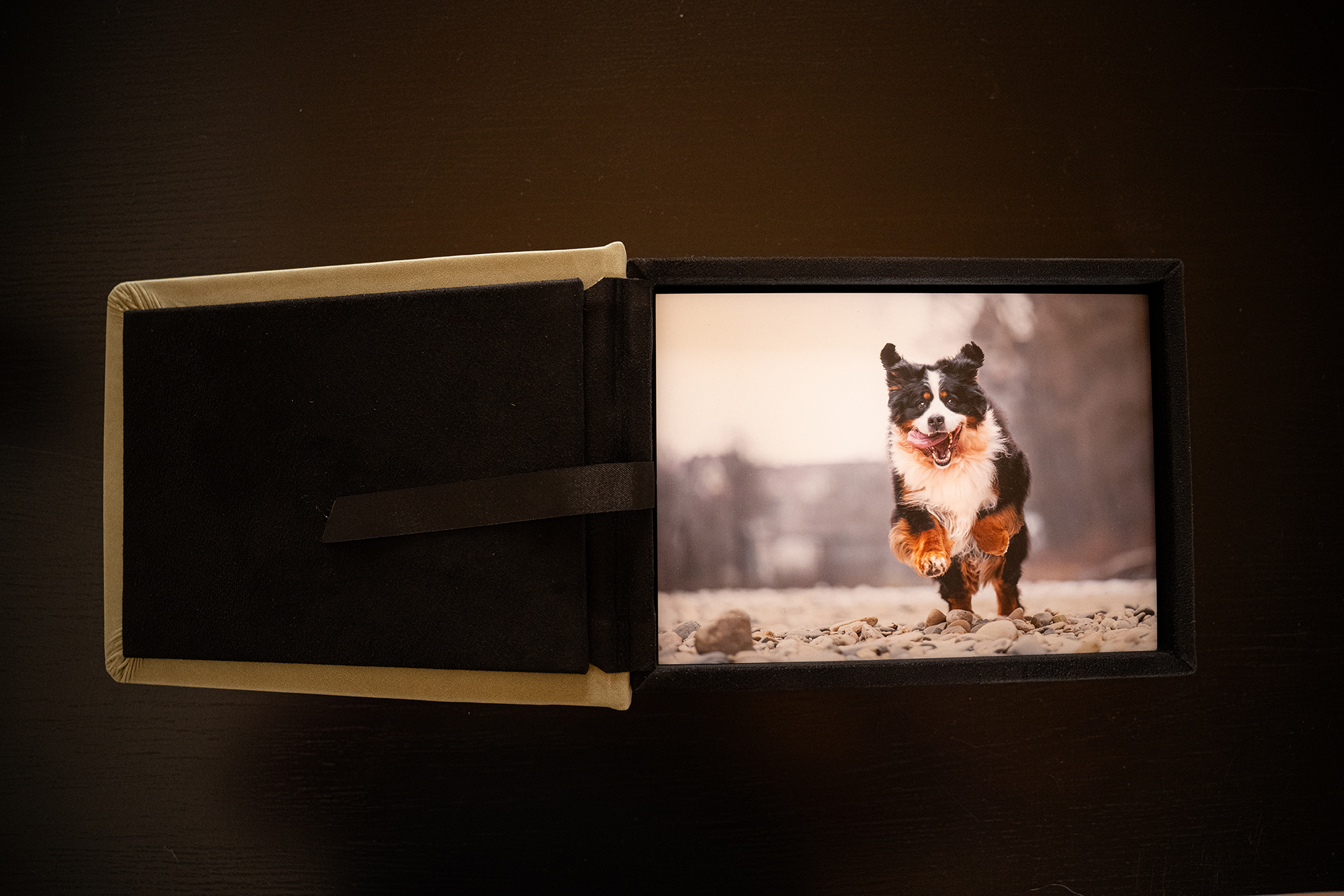 Fotobox innen