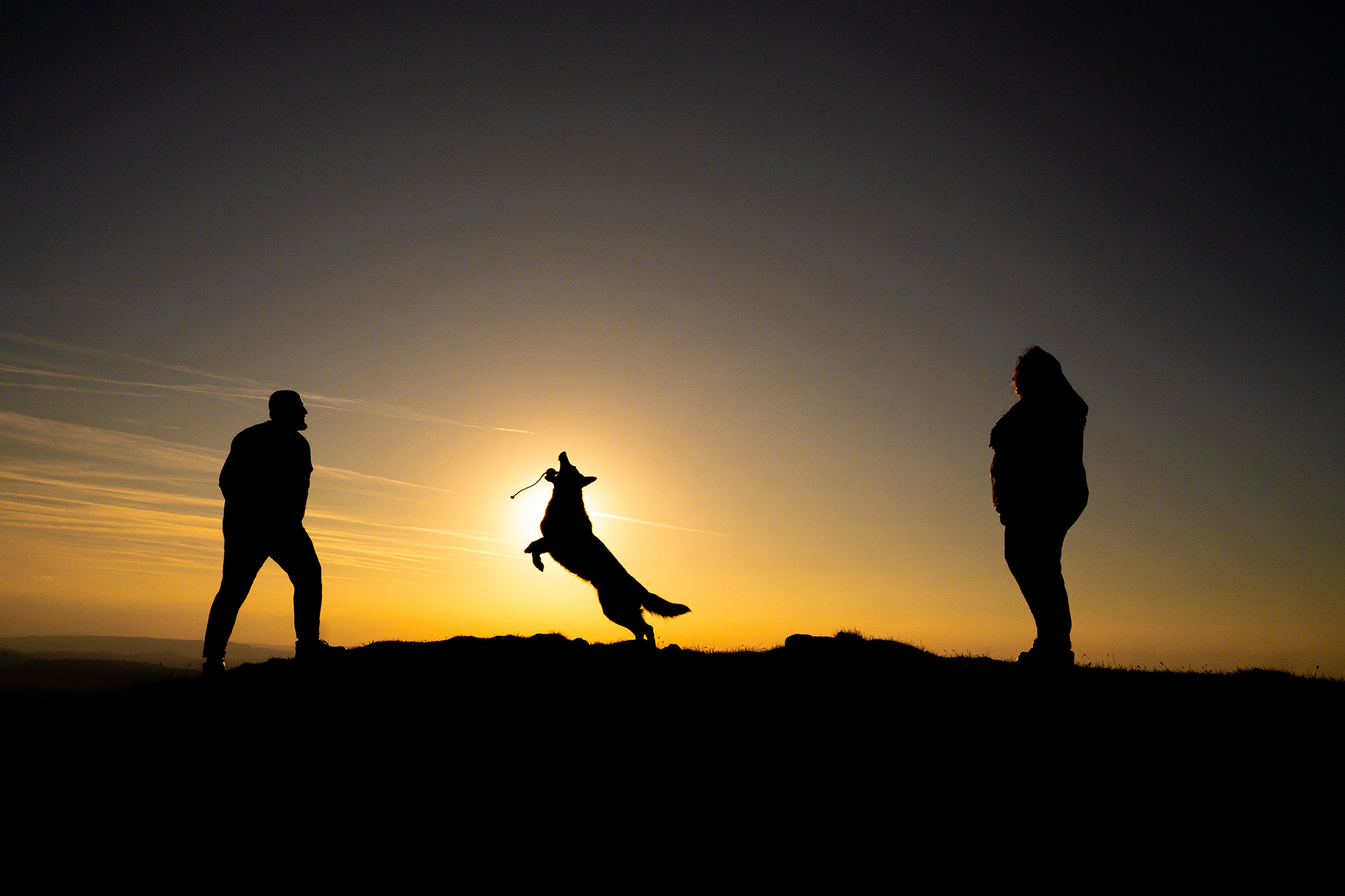 Zwei Menschen spielen mit Schäferhund