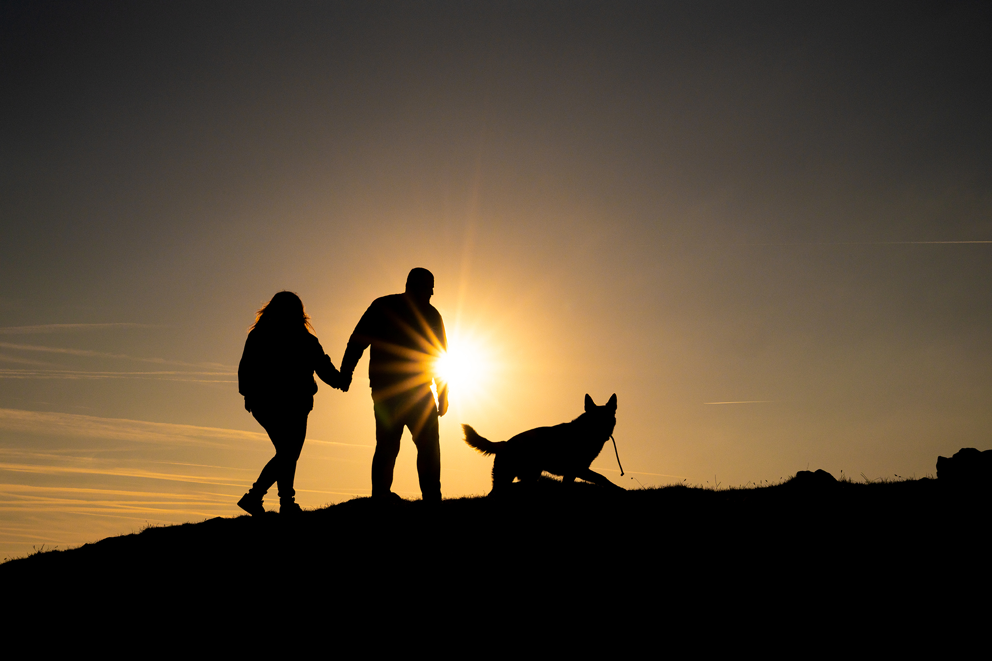 Paar spaziert mit Hund