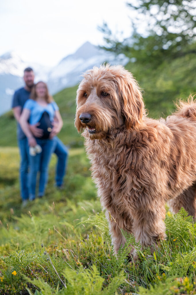 Paar mit Hund