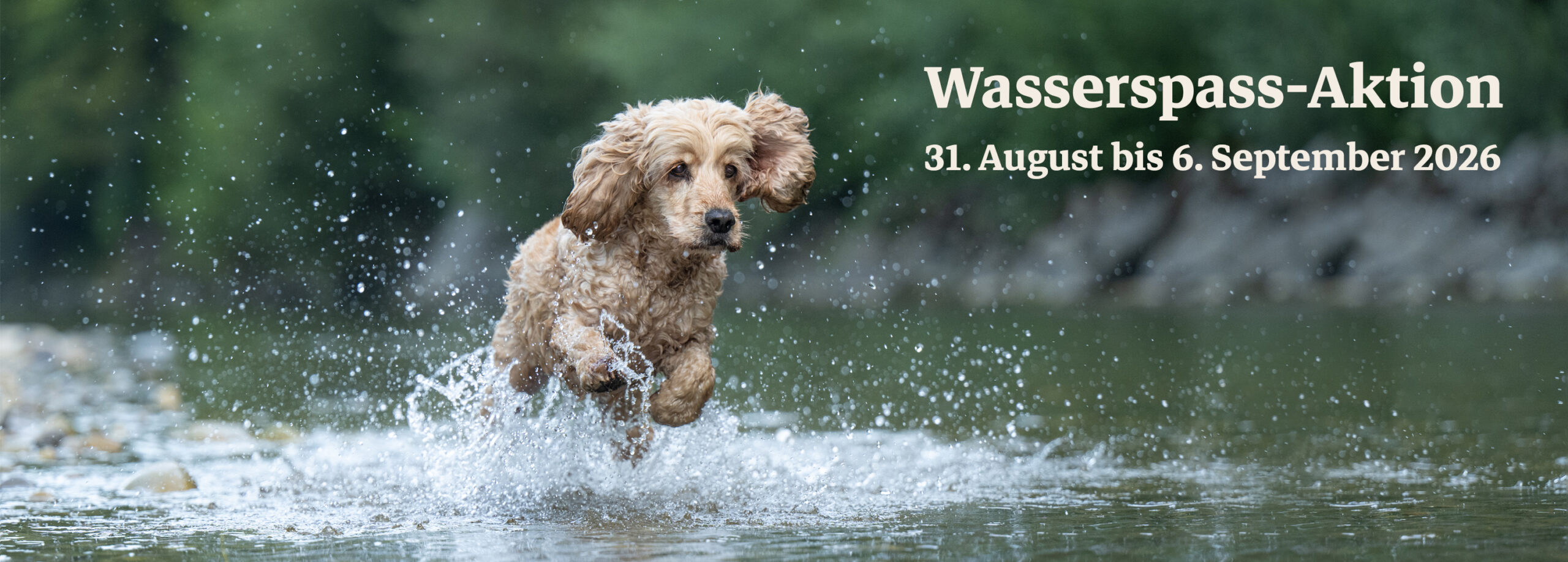 Header Wasserspass-Aktion 2026