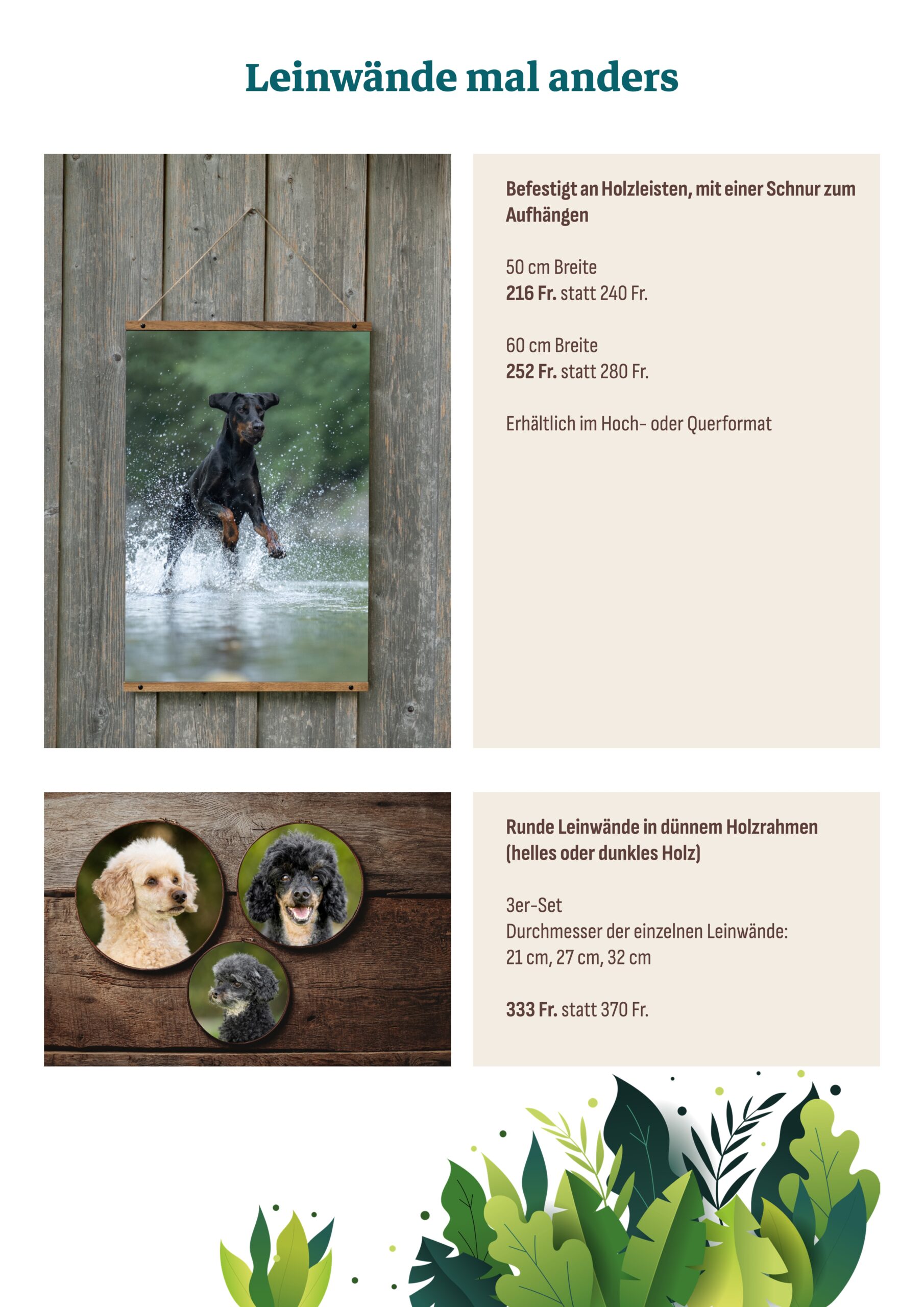 Produktkatalog Wasserspass 5