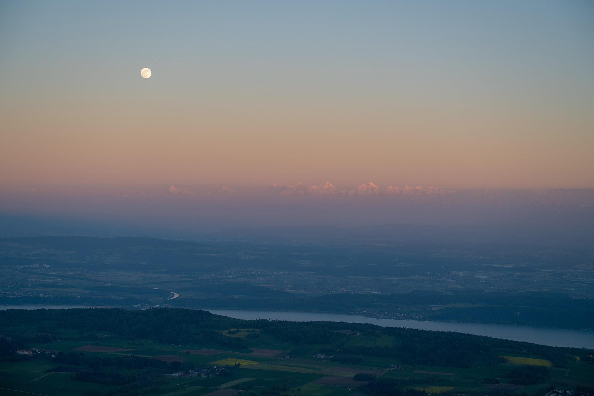 Panorama