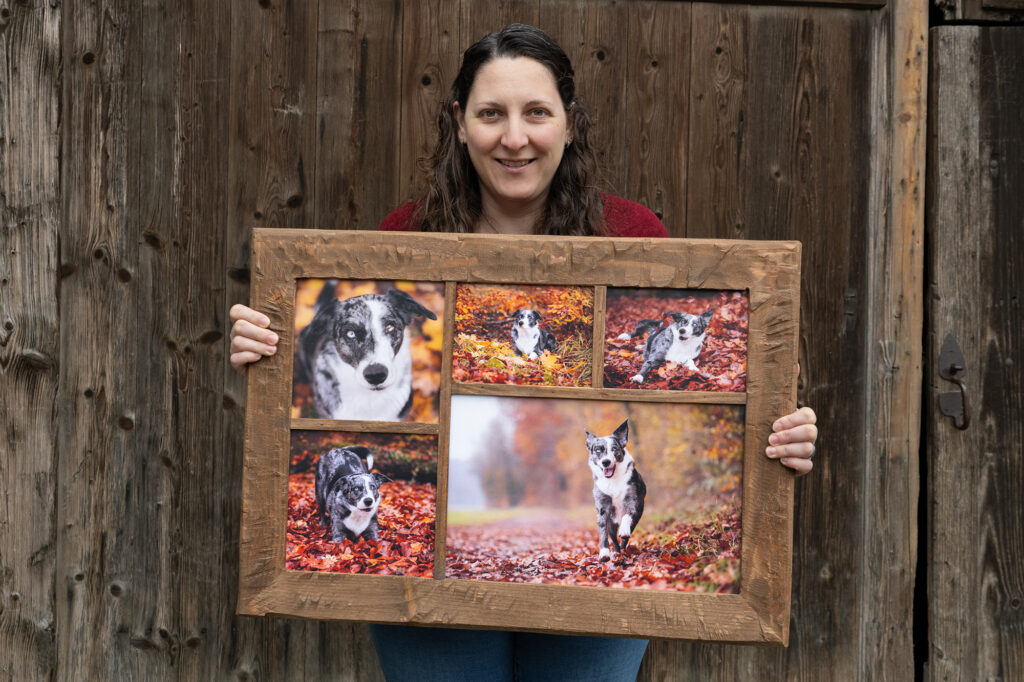 Holzcollage mit Hundebildern