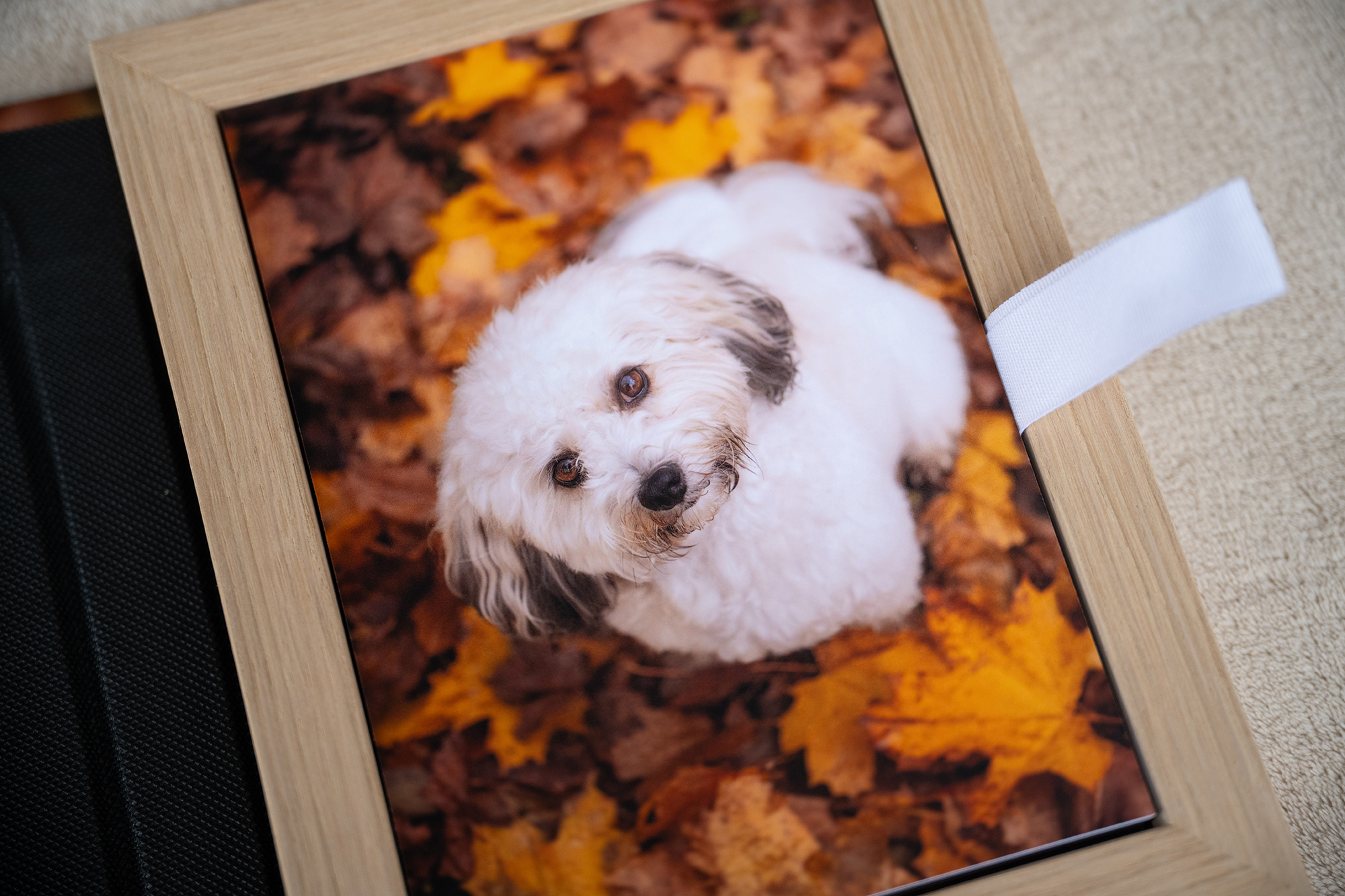 Fotobox innen mit Prints