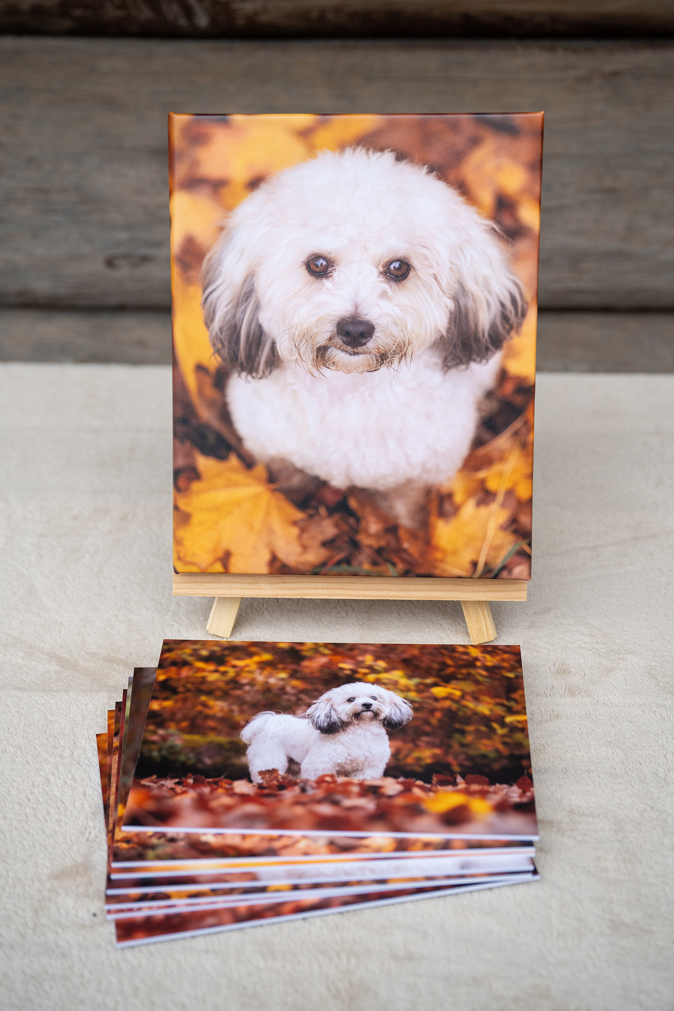 Fotobox