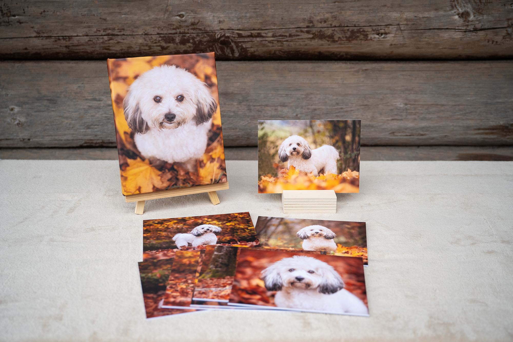 Fotobox und Prints
