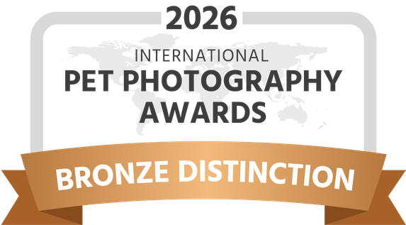Logo IPPA Bronze Distinction 2026