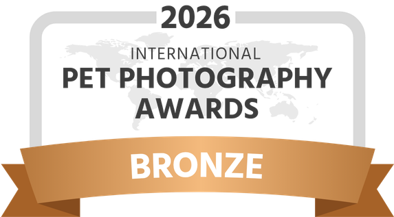 Logo IPPA Bronze 2026