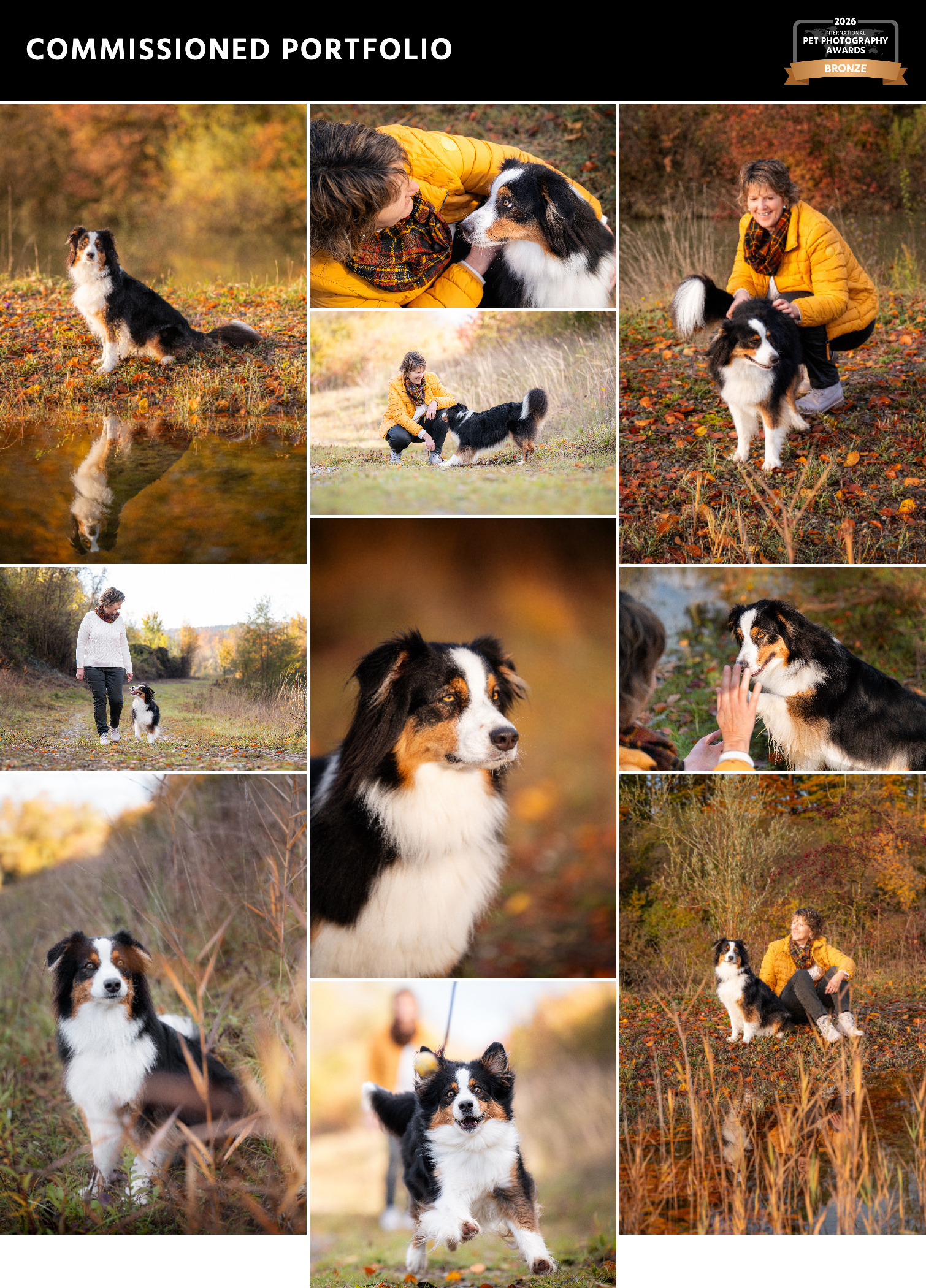 Portfolio von Australischem Schäferhund