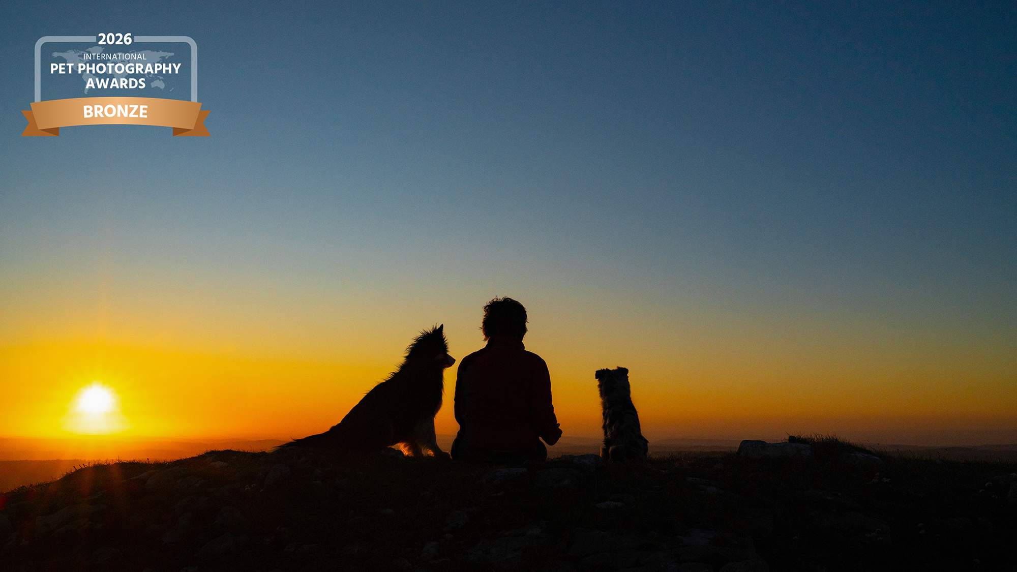 Freu mit zwei Hunden im Sonnenuntergang