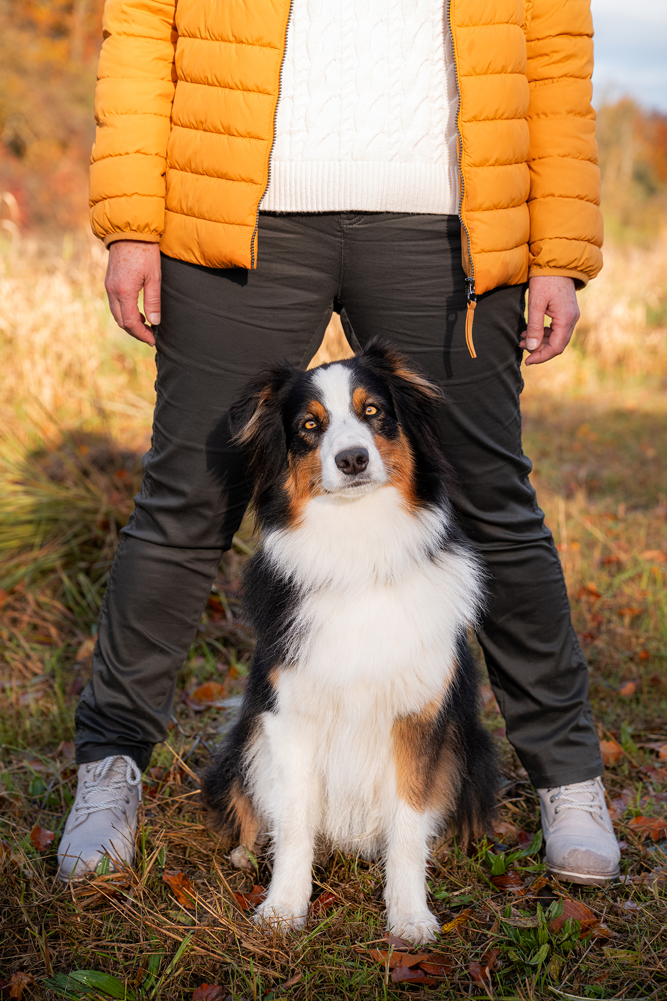 Hund bei Frau zwischen den Beinen