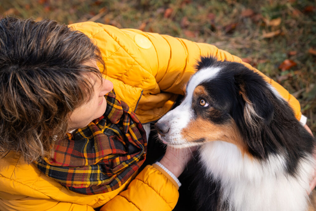 Hund schaut Frau an