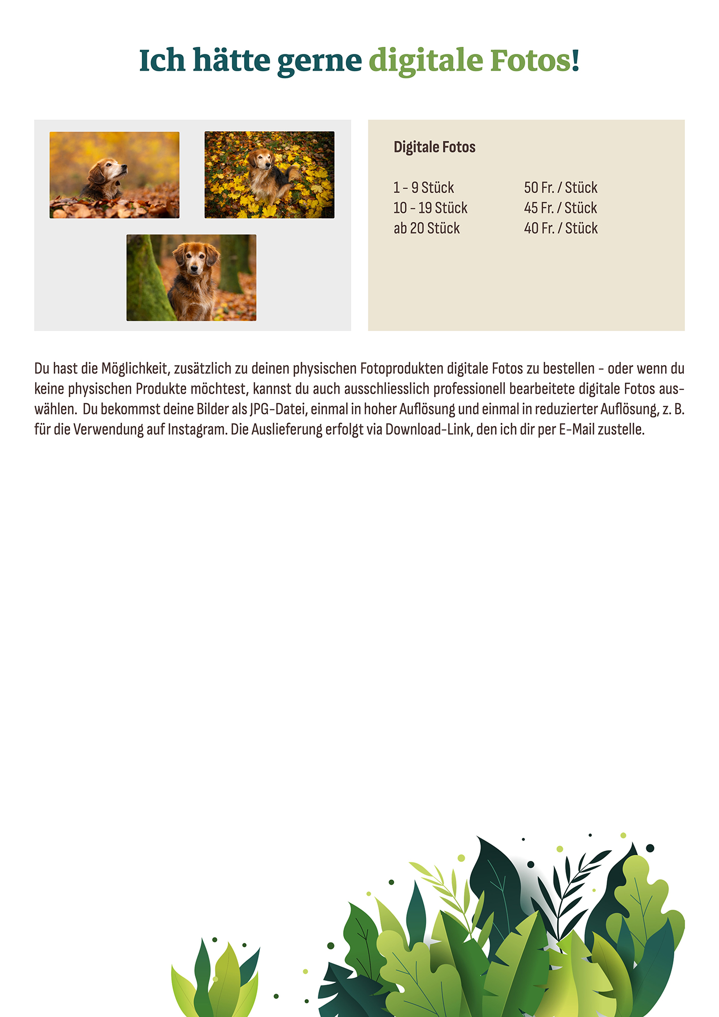 Produktkatalog 10
