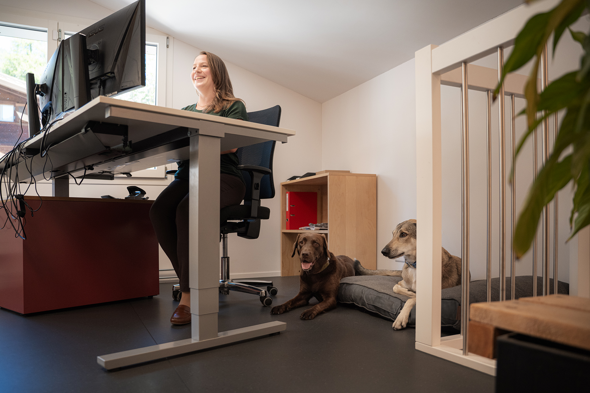 Frau mit zwei Hunden im Büro