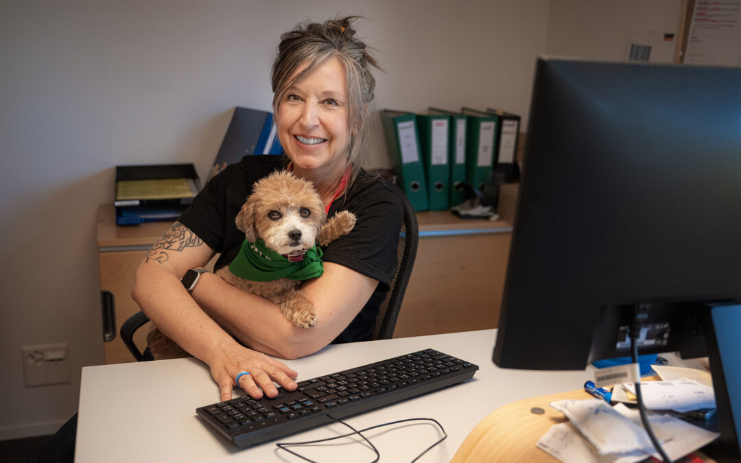 Bürohunde: Wenn der beste Freund des Menschen mit zur Arbeit kommt